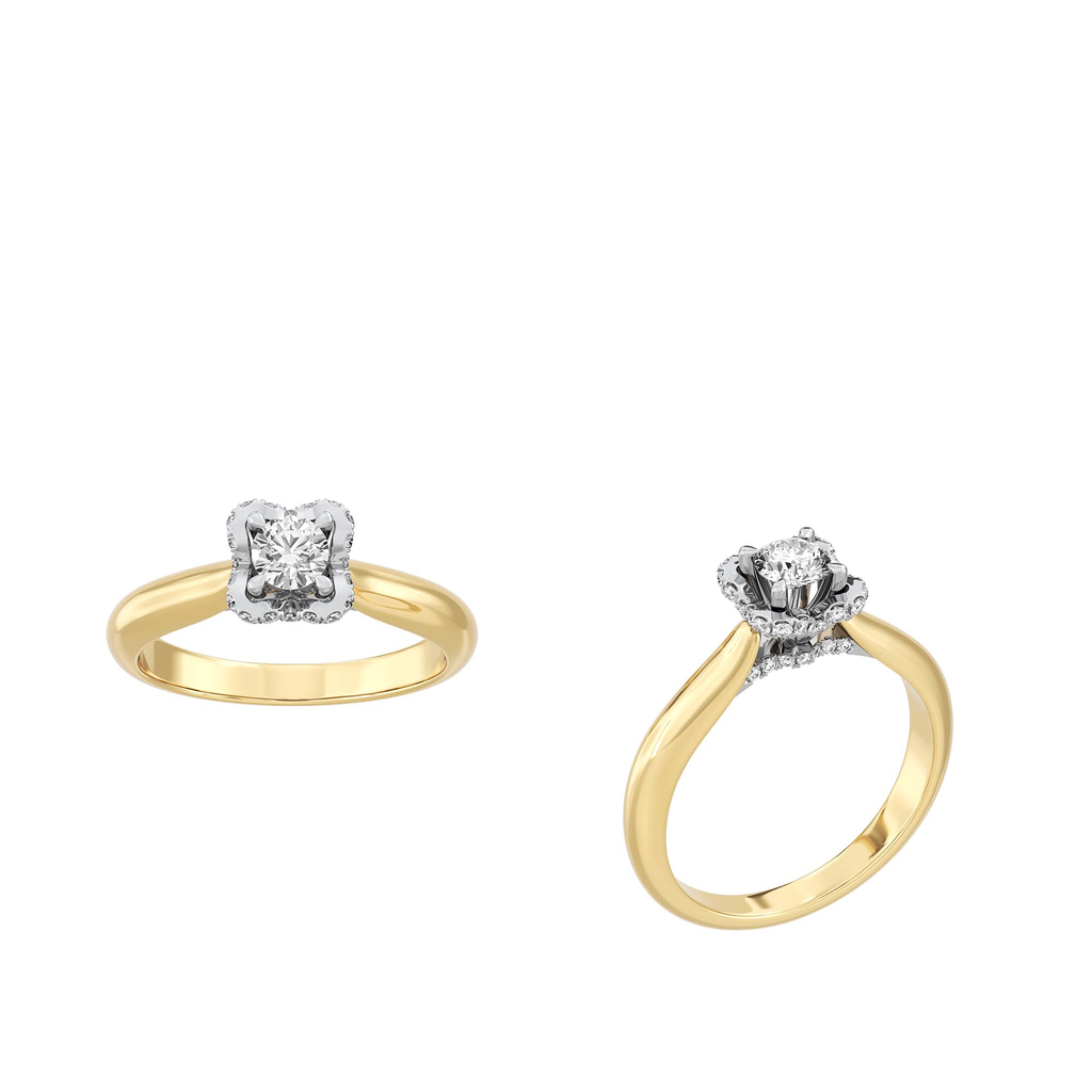 DB RNG 1227-1532-536